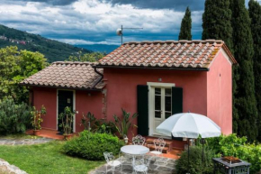 Residence Collecchio - Ortensia
